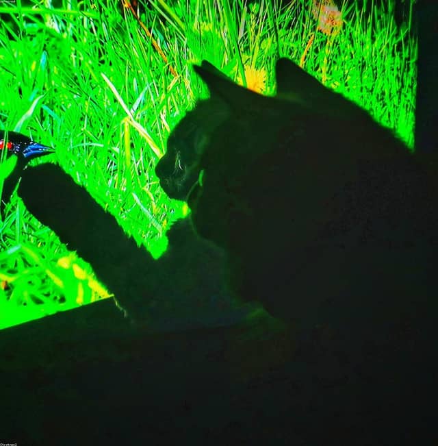 bnYUWMrk